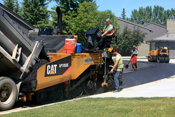 Best Driveway Repair Near Me  in Shackle Island, TN